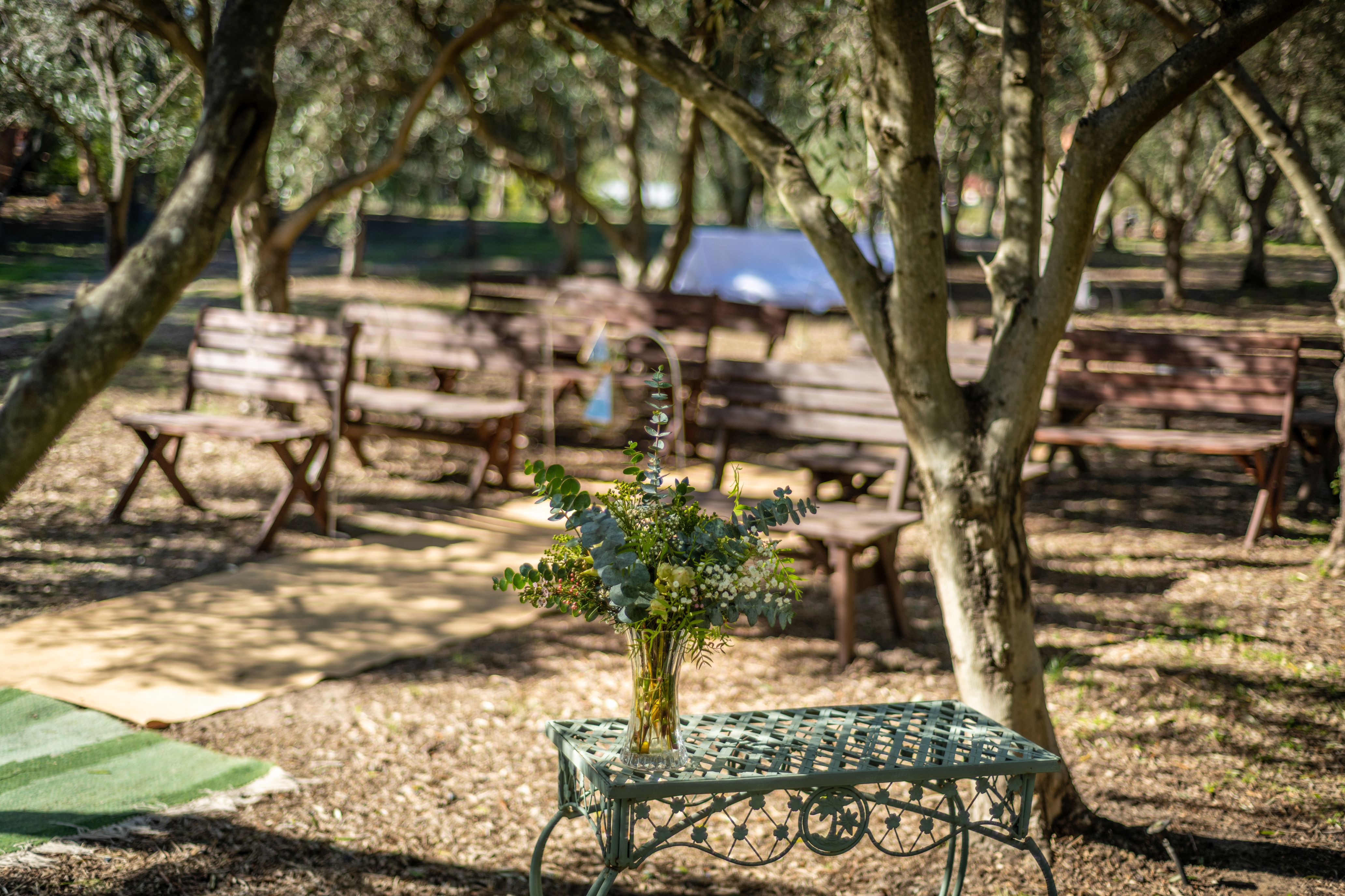 The Olive Estate Wedding and Private Function Venue in Swan Valley